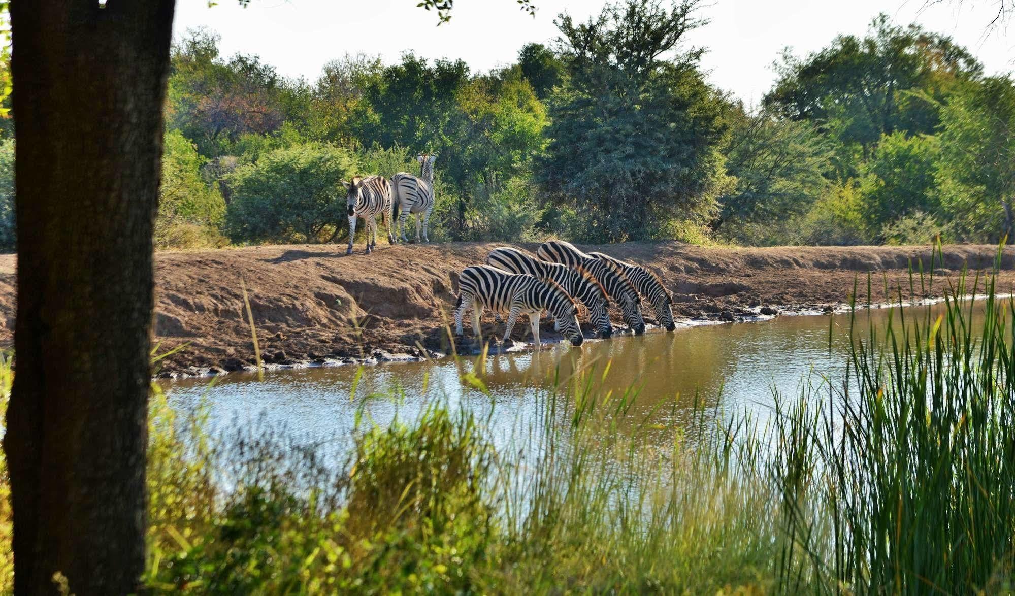 Black Rhino Game Lodge Ruighoek Mine Dış mekan fotoğraf